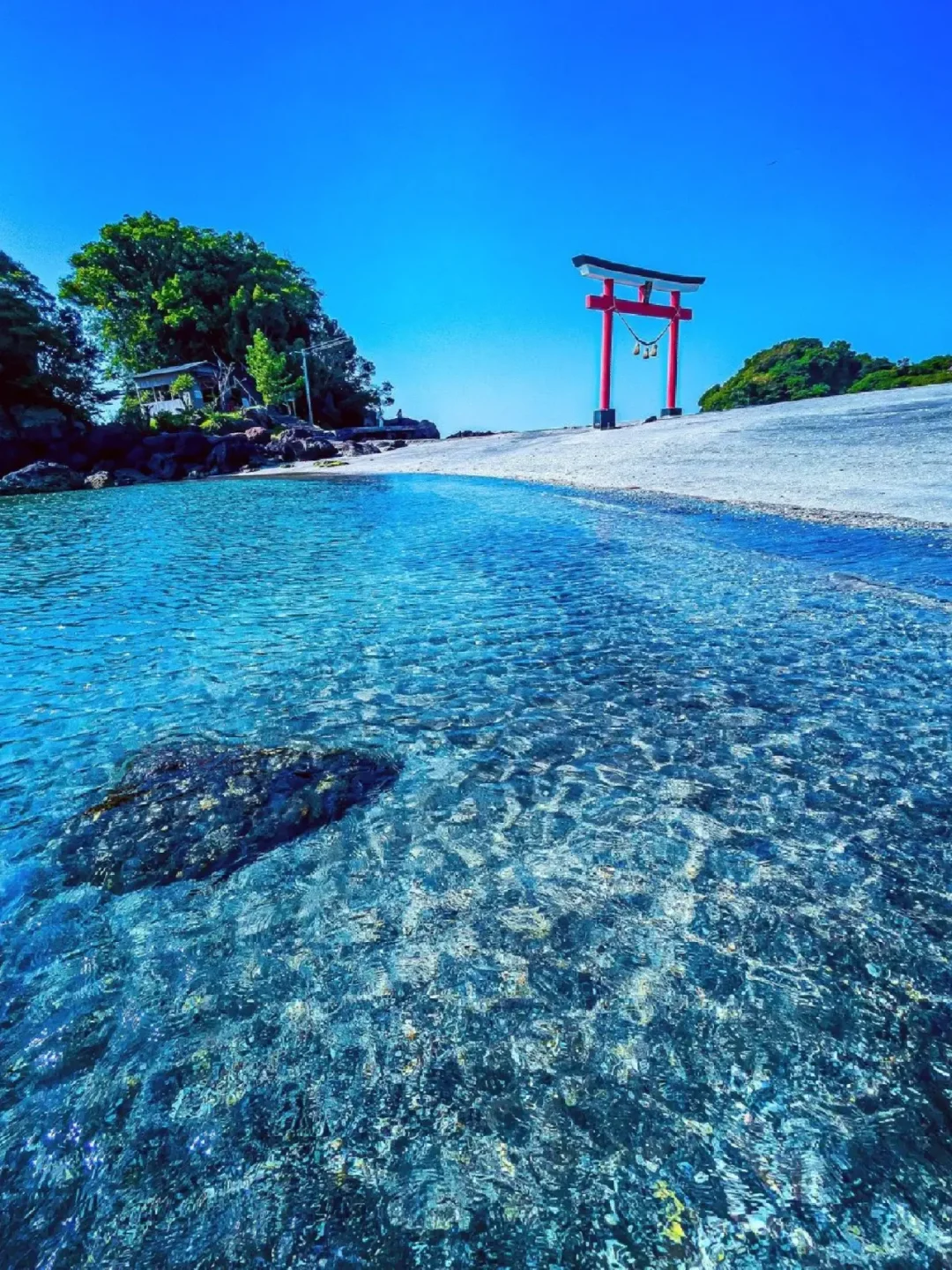 日本鹿儿岛丨鸟居、蓝天和海，感受自由的风