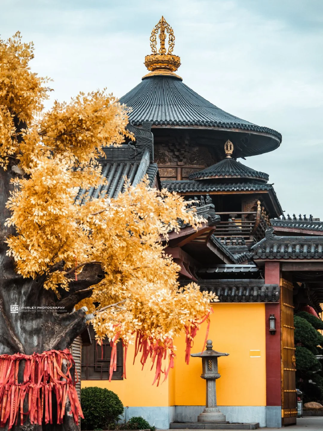 一眼惊艳！上海市区这座宝藏寺院几乎没有人