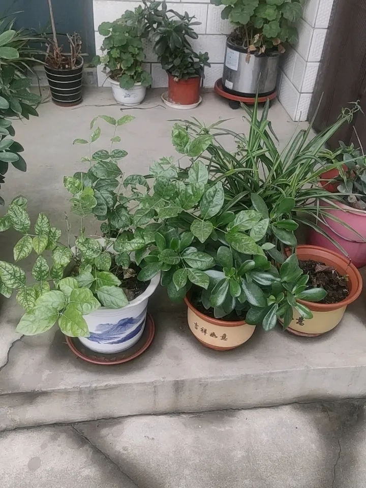 <p>已婚男女陷入婚外情结局会怎样天打雷劈死不足惜 <!--{img...