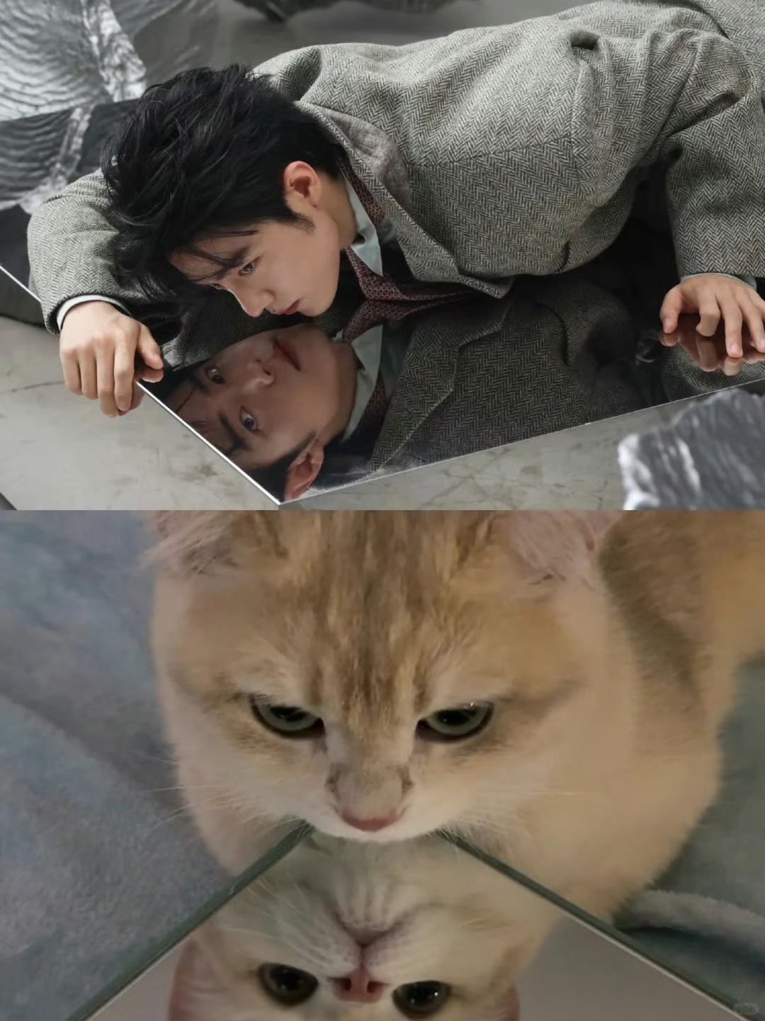 猫猫届最萌战神肖战驾到～～～
还不速速来舔[舔屏][舔屏][舔屏][舔屏]
#肖战就这样cos猫咪摔倒##肖战西装叠穿的神##肖战[超话]# ​