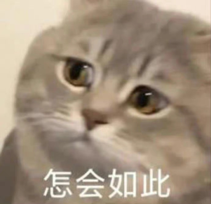 表情包又增加啦