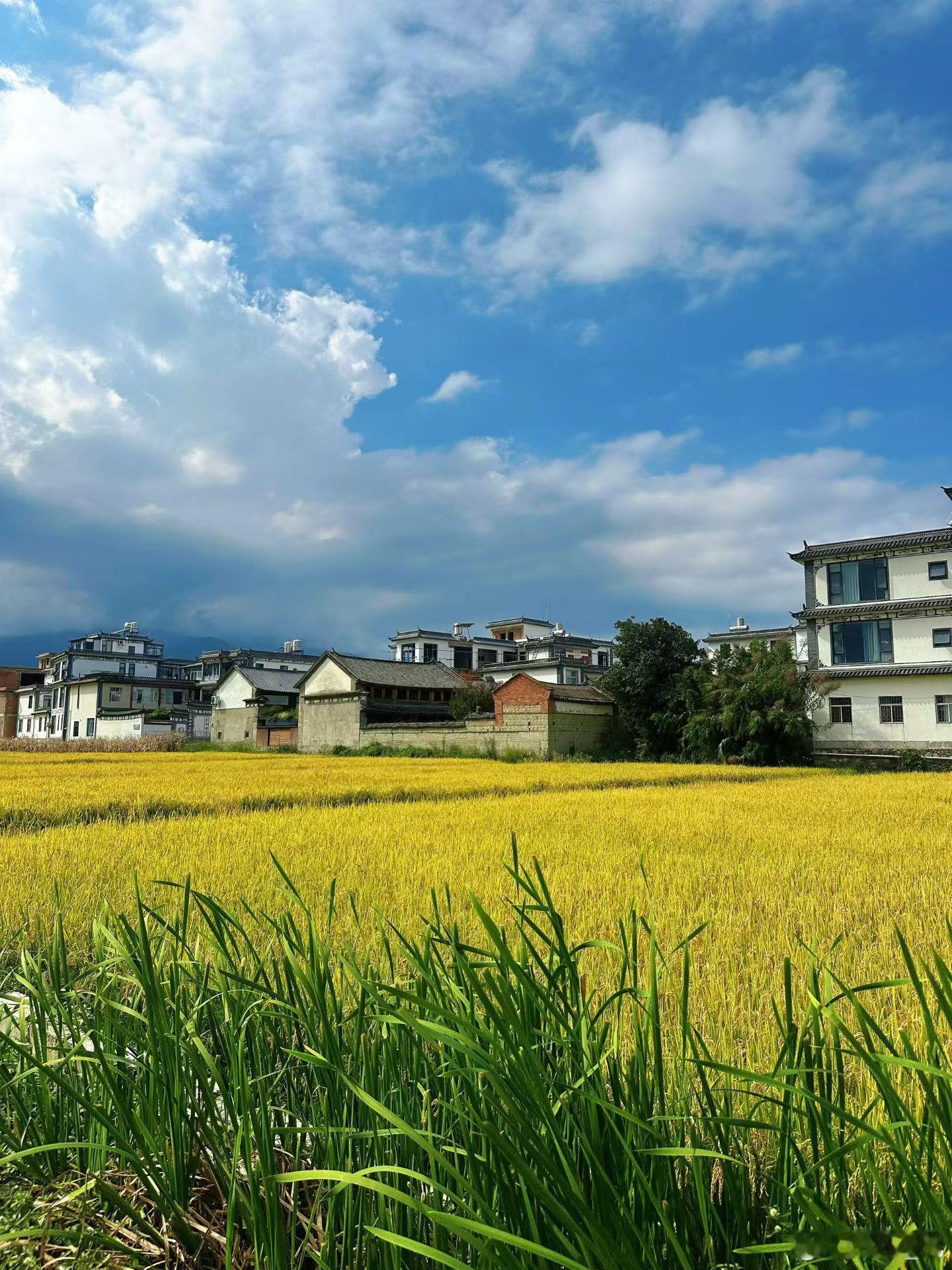 #俄罗斯 乌克兰#
俄乌冲突近期再度升温，最受关注的就是乌克兰对莫斯科发起大规模无人机突袭。当地时间5日晚间到6日凌晨，总计650架乌方无人机飞向莫斯科地区，大部分在远距离被俄防空系统拦截，仍有上百架逼近城区，造成莫斯科州2人遇难、9人受伤，当地部分机场临时限流，这也是近两年针对莫斯科规模 ​