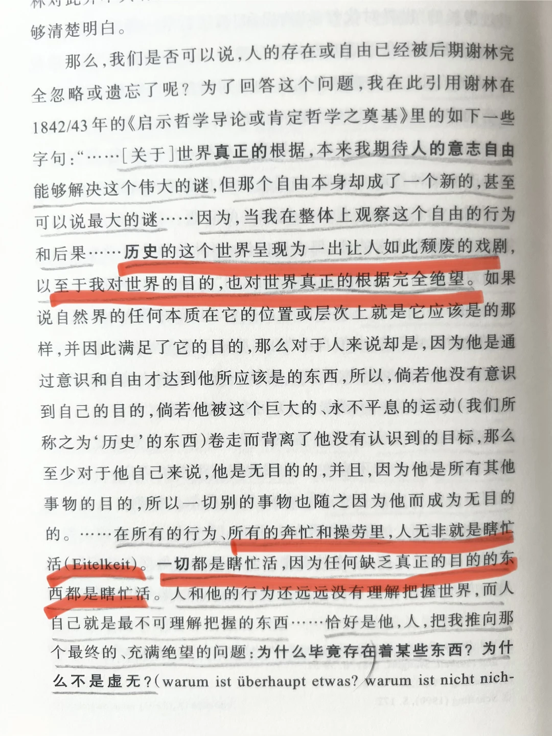 谢林说人无非就是瞎忙活，一切都是瞎忙活
