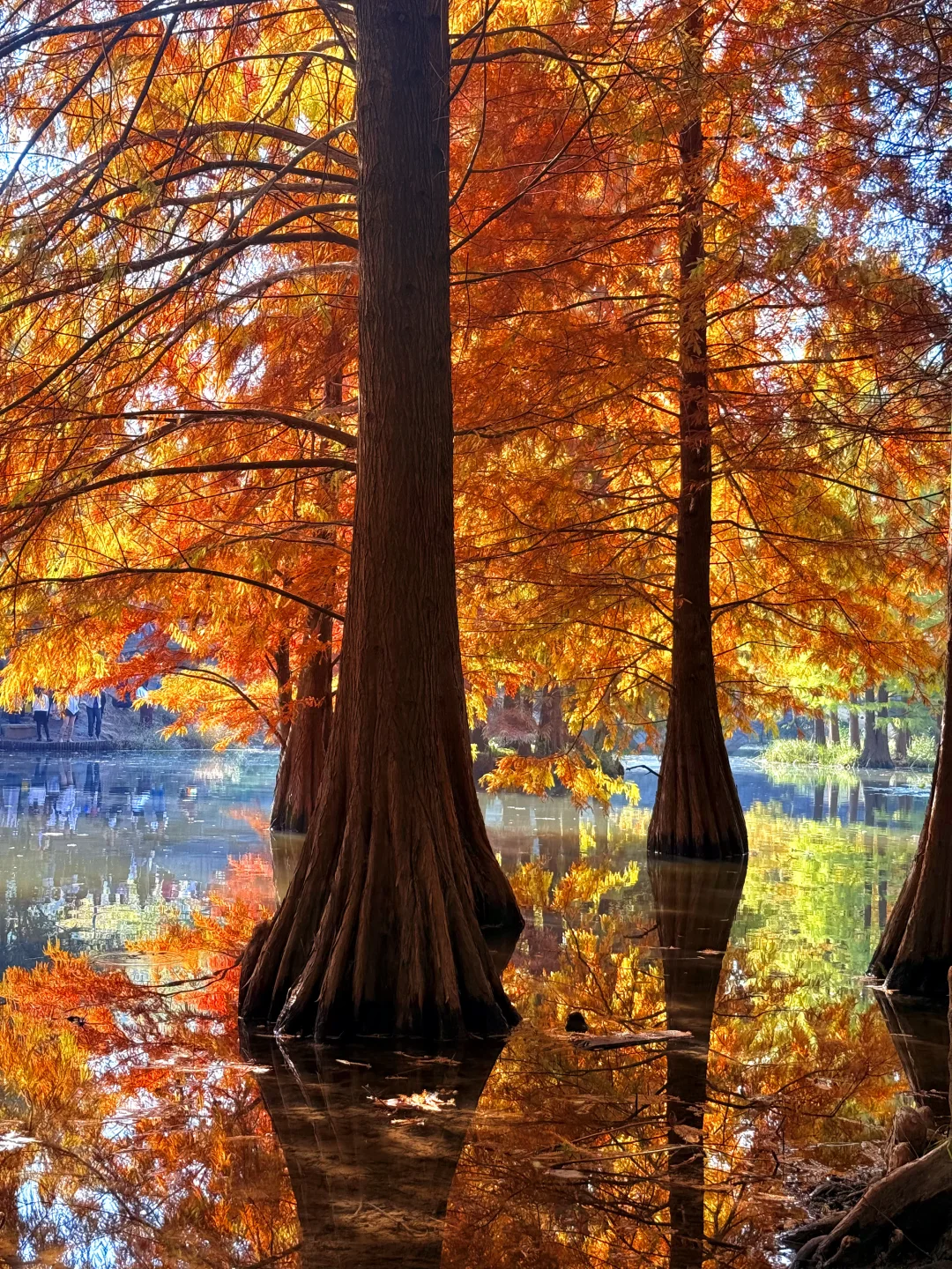 落霞入湖，水天一色。🍁