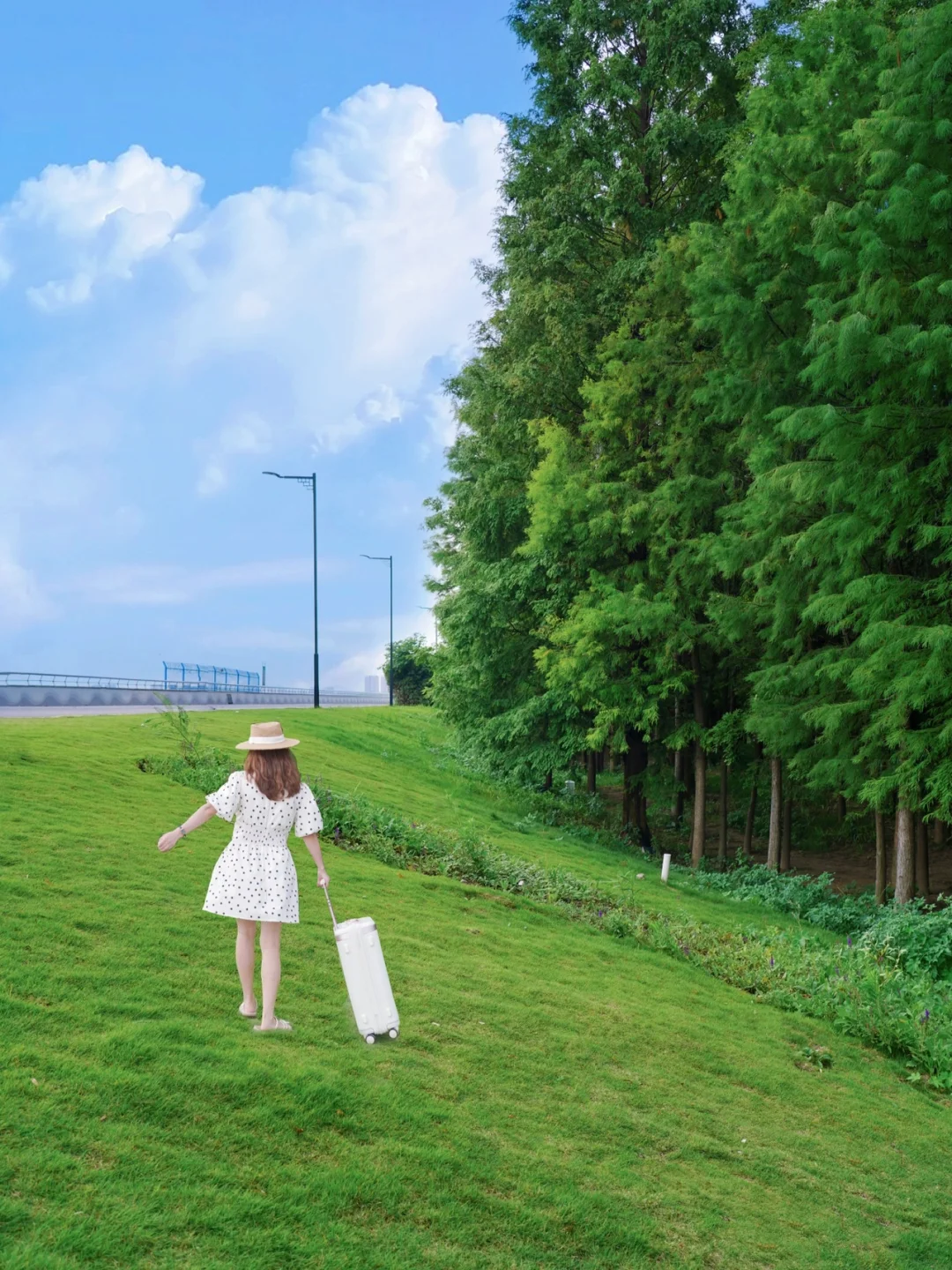 杭州小新疆！99%人不知道的水杉林，出片神地！