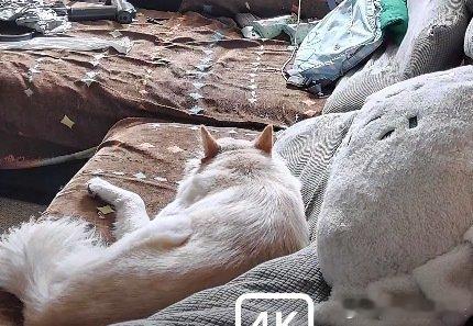 今天上班我做的事： ​