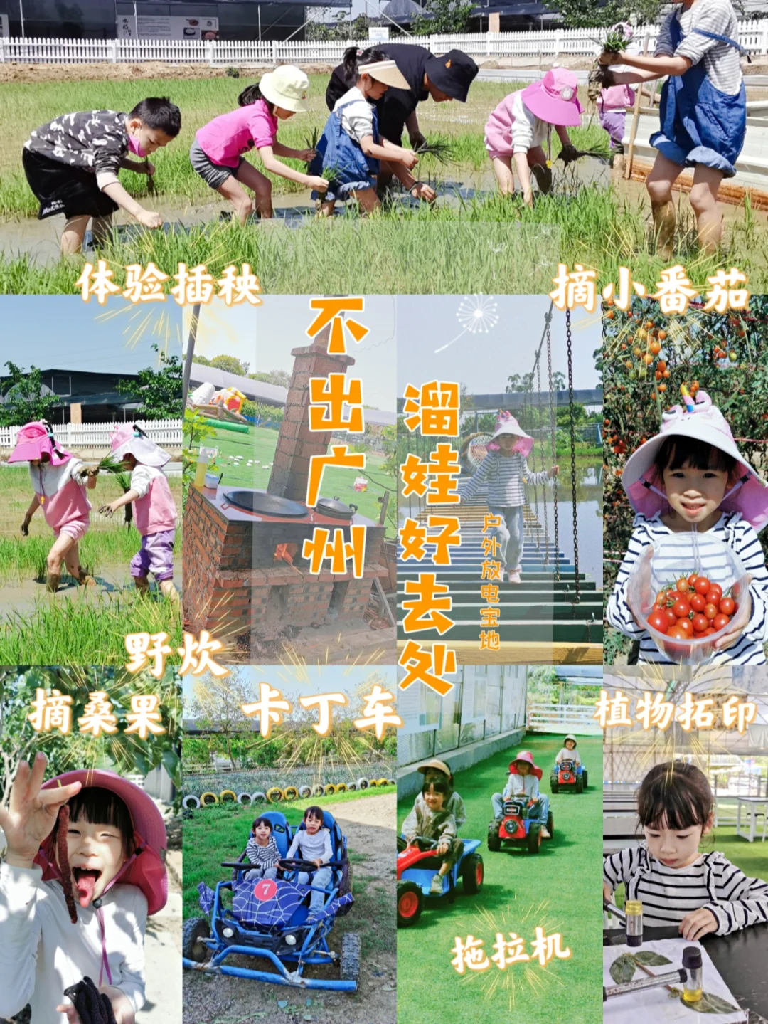 广州户外溜娃|体验春耕野炊摘桑果小番茄