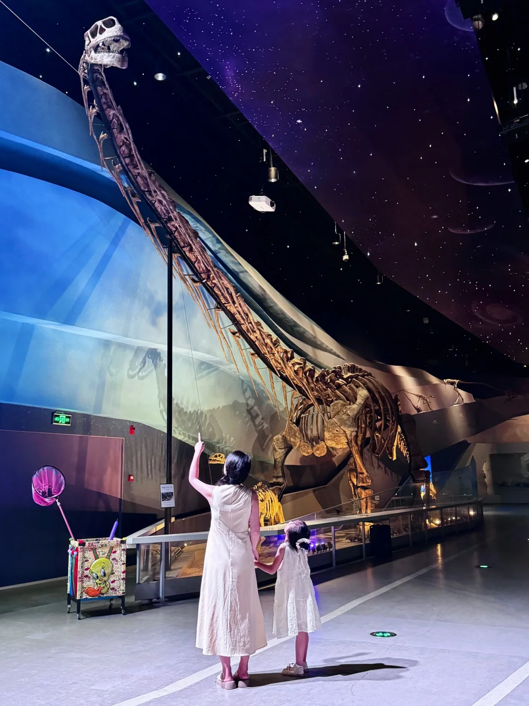 武汉遛娃‼️在园博园发现小孩眼中的神奇世界