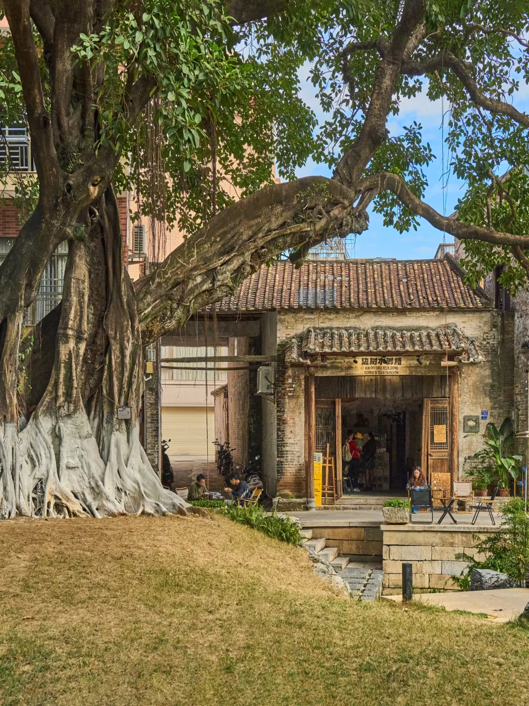 佛山citywalk📷岭南烟火里藏着慢时光的治愈