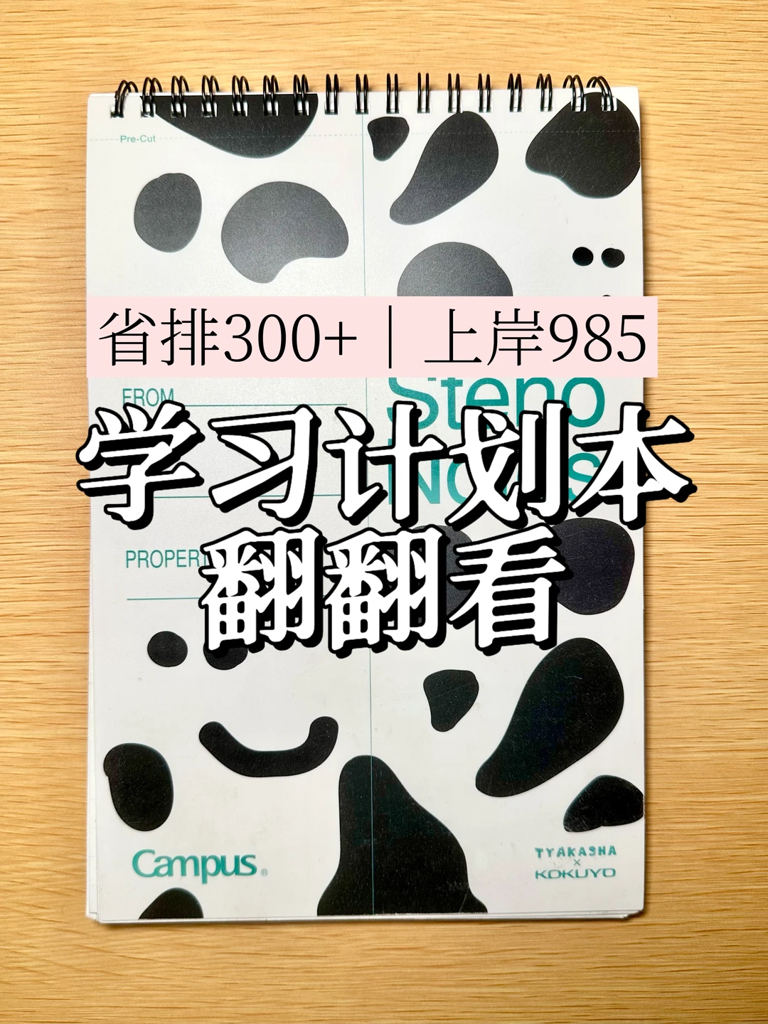 动力向｜省排300+的学习计划本翻翻看📓