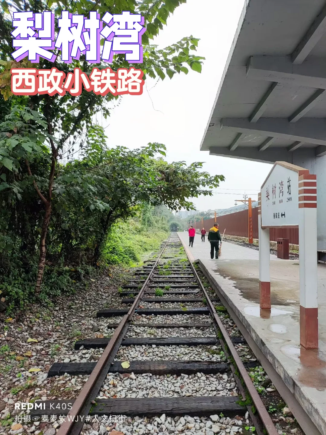 【沙坪坝】川外小铁路梨树湾段更绿野仙踪