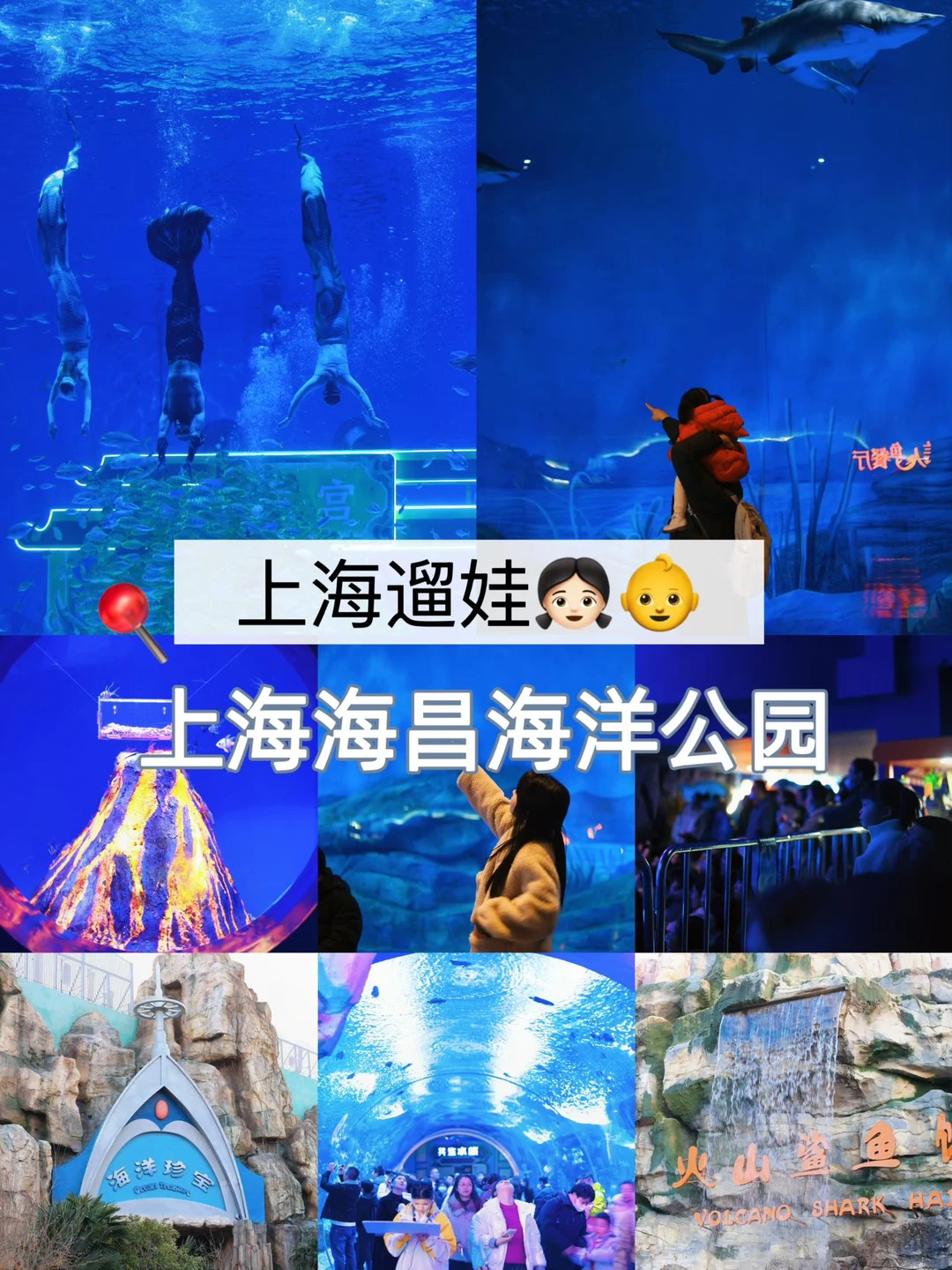 带娃去上海海洋公园，看她喜欢的鲨鱼宝宝