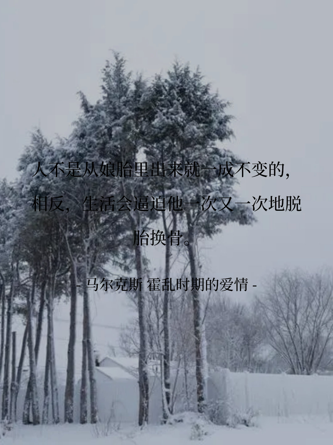 人不是从娘胎里出来就一成不变的，相反，生活会逼迫他一次又一次地脱胎换骨...