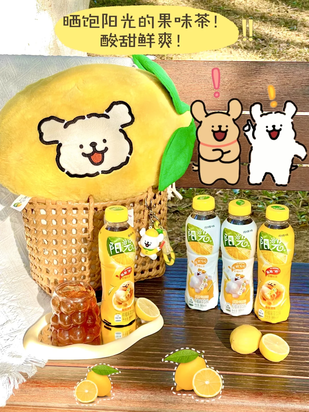 get线条小狗瓶！阳光茶我要对你刮目相看了