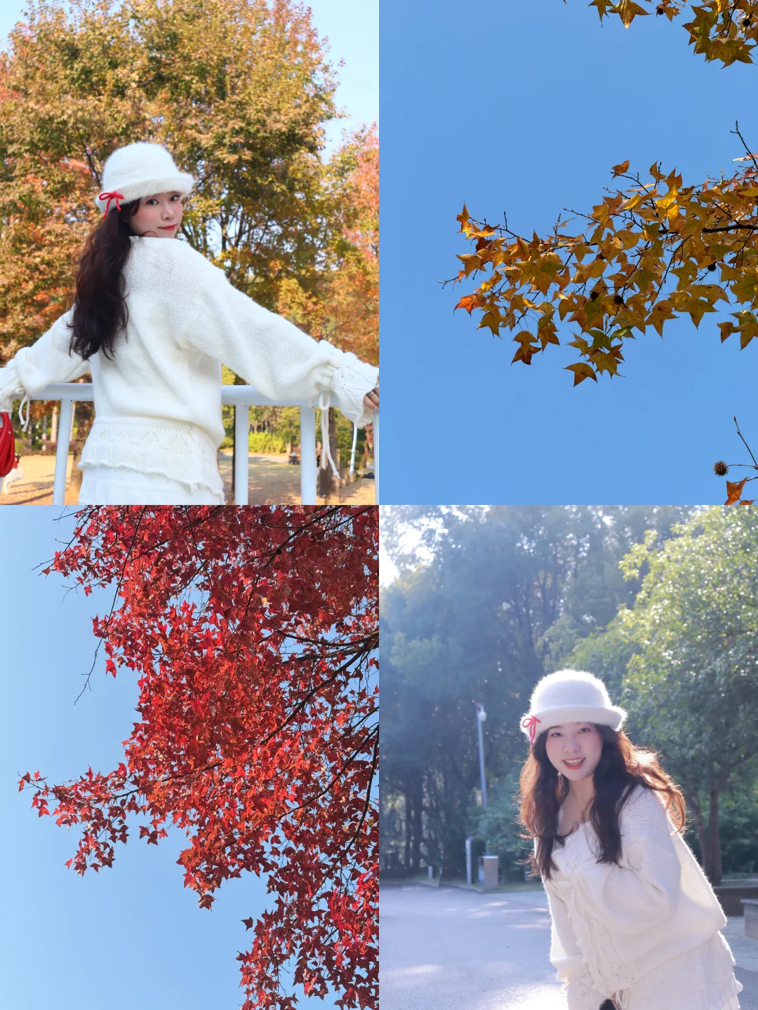 逛公园⛲️｜不敢相信这是柳州的冬天