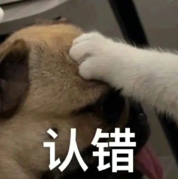 聊天必备表情包