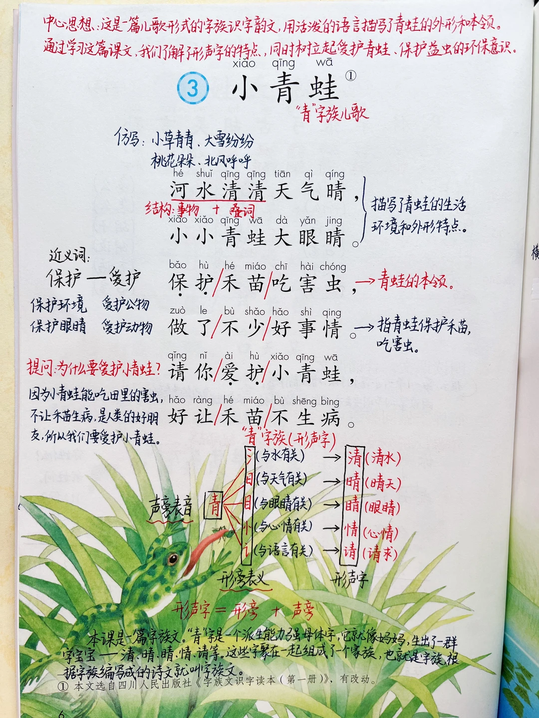 一年级下册语文｜3.《小青蛙》课堂笔记及延展