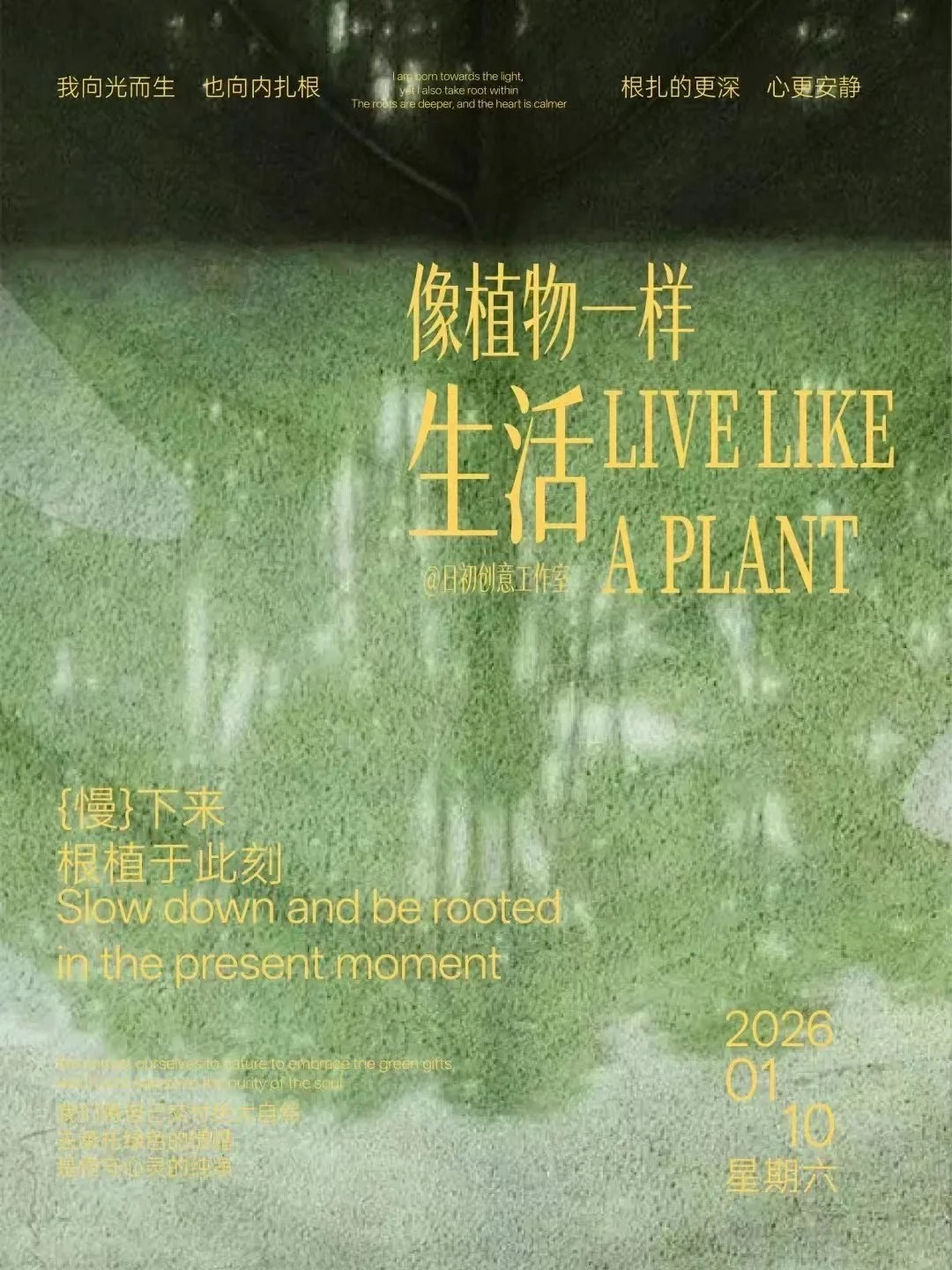与自然的邂逅相遇 ​​​