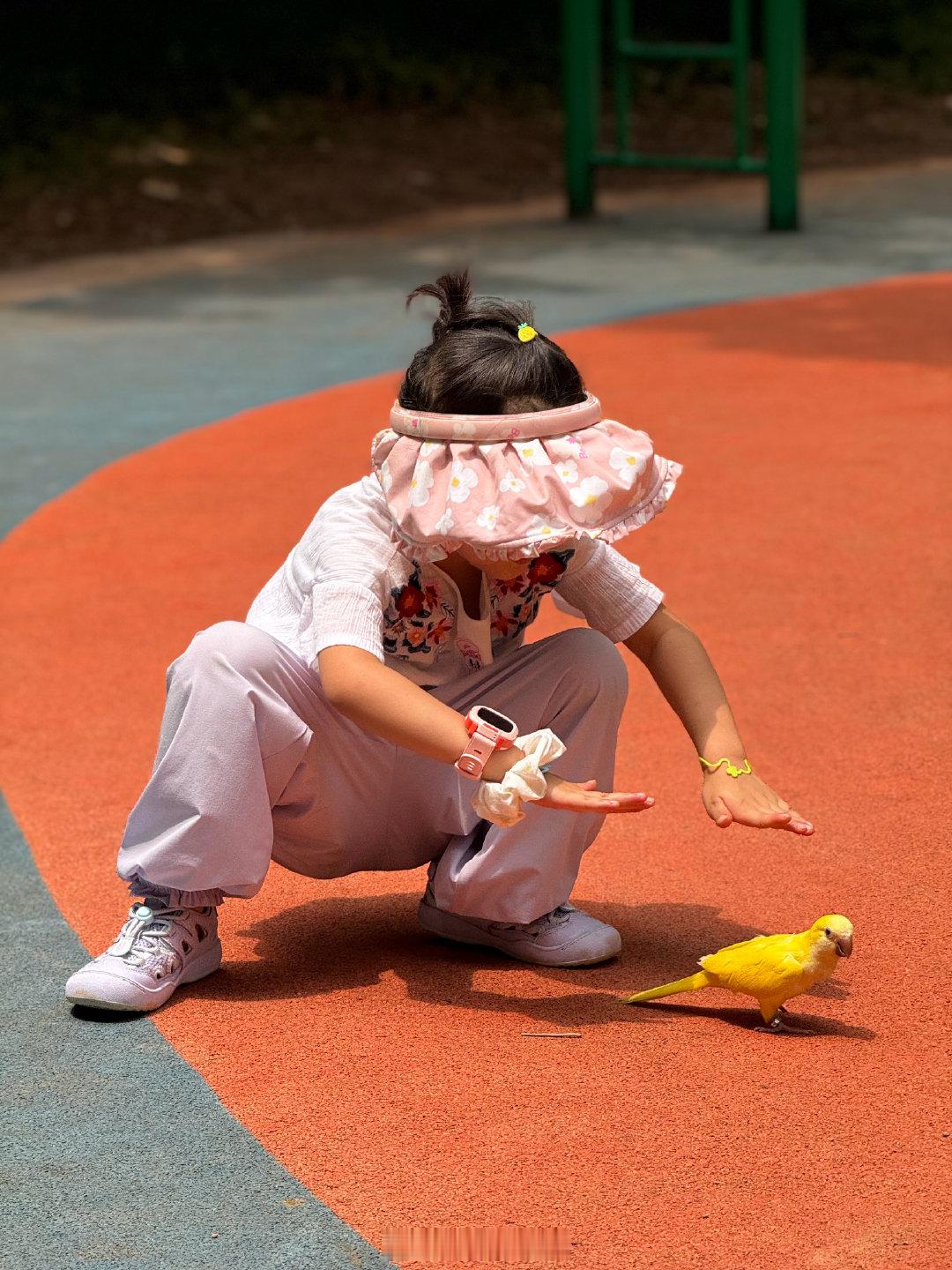🔆没有追到鸽子🍃

         但交到1只恩恩儿朋友🦜和机器狗🐶 ​
