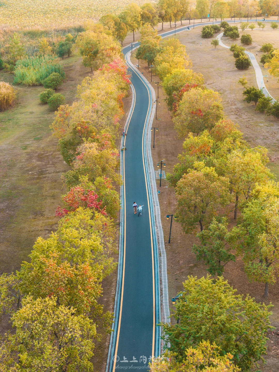 别挤东湖啦～这条绝美乌桕骑行路线问爆了‼️