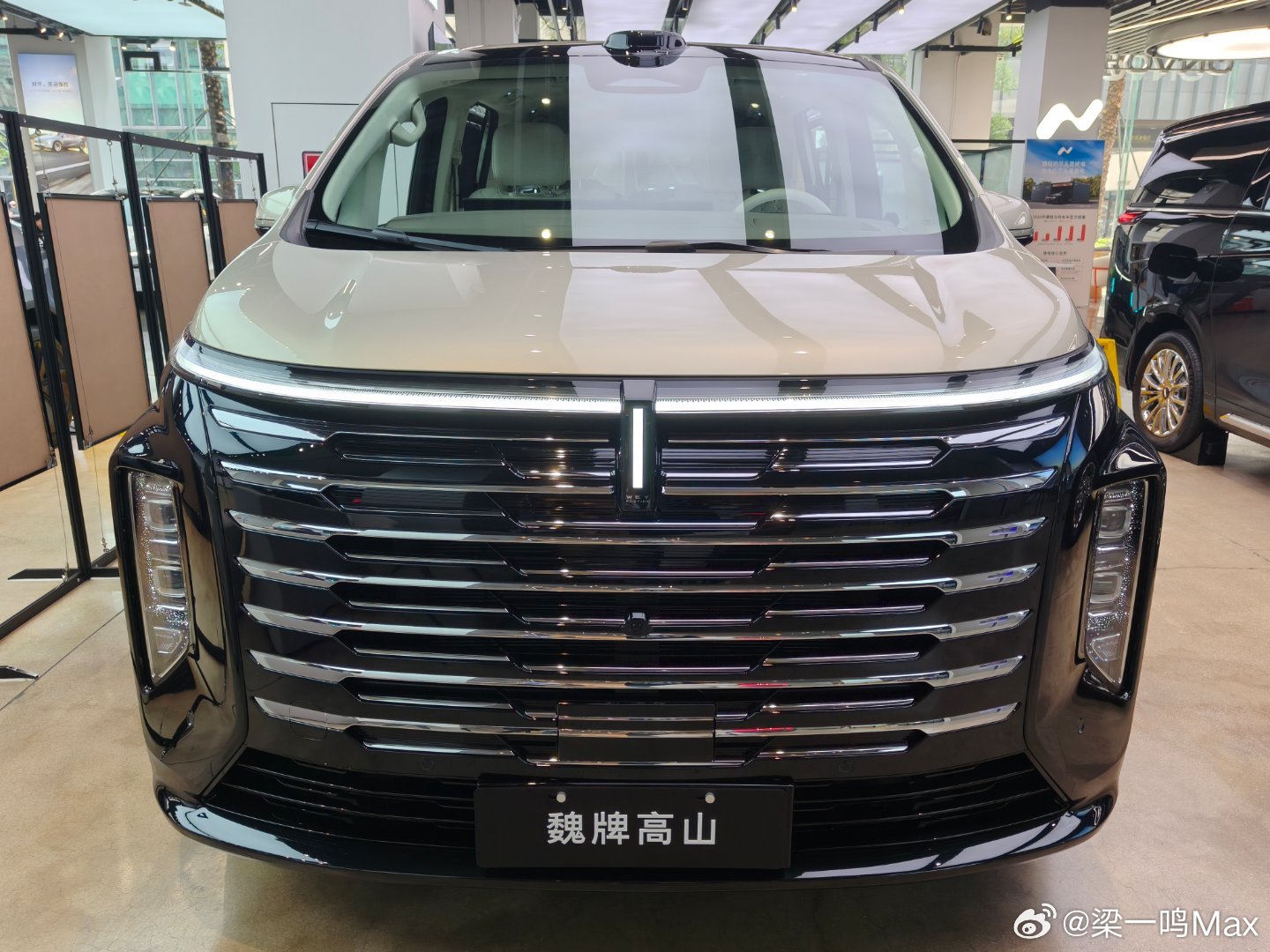 早！魏牌高山8新出的这个前脸如何？是不是开着也很霸气！？  ​