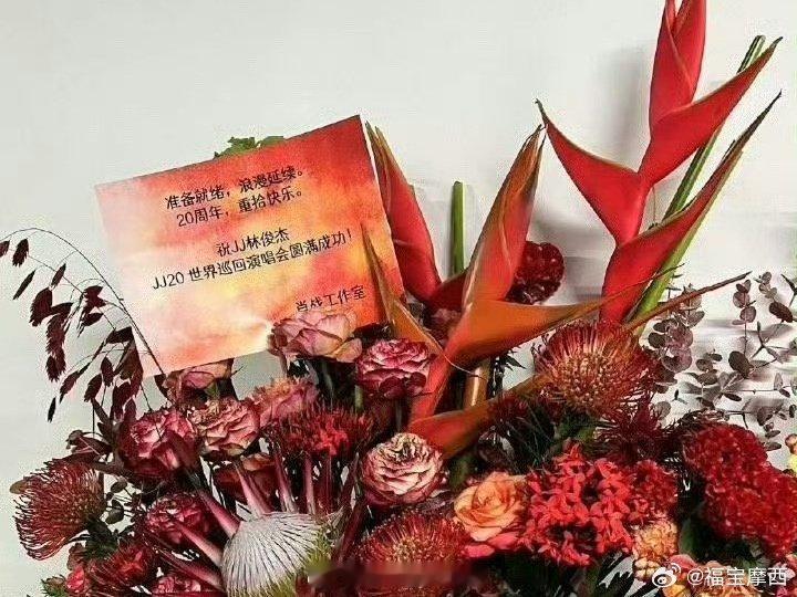 #肖战给李宇春北京演唱会送花篮##肖战李宇春的友谊#
这花一看就很贵[good_old]肖战体面人很温暖的祝福，这花篮好高级和主题很契合啊#肖战[超话]# ​