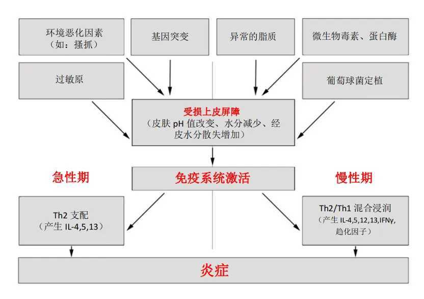 #微博健康护肤月##微博科学抗敏行动##世界特应性皮炎日#9月14日是第九个“世界特应性皮炎日”。据统计，我国特应性皮炎患者已超7000万，在非致命性皮肤疾病负担中位列第一。

特应性皮炎是一种具有遗传倾向的特殊湿疹。它与普通湿疹的核心区别在于遗传背景和伴随的过敏史。特应性皮炎患者常伴有过敏性鼻炎或哮喘，是因为他们拥有“特应性体质”，即免疫系统对过敏原过度敏感，导致皮肤、呼吸道和消化道同时出现过敏反应。

特应性皮炎与普通湿疹的区别

虽然两者在皮肤上的表现很像，但可以通过以下几个维度来区分：

*   发病年龄与病程：特应性皮炎多在婴幼儿期发病，病程长且反复发作，甚至迁延终身；普通湿疹各年龄段均可发生，急性发作后通常能缓解或自愈。
*   遗传倾向：特应性皮炎患者本人及家族中多有过敏史；普通湿疹一般没有明确的遗传背景。
*   症状表现：特应性皮炎常伴有皮肤极度干燥、剧烈瘙痒（夜间加重）以及皮肤增厚苔藓化；普通湿疹则更多表现为局部的红肿、水疱和渗液。
*   实验室指标：特应性皮...