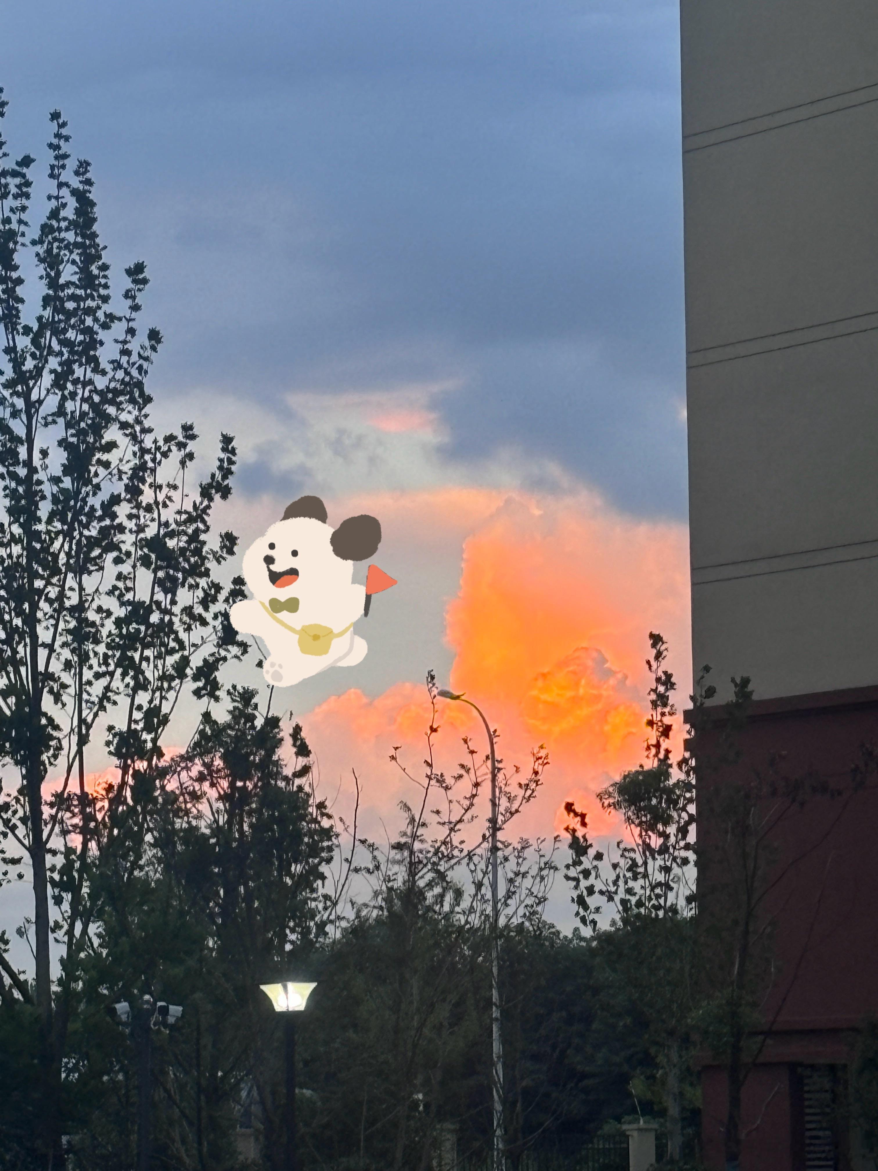 学生时代在某个瞬间会突然找我一下子[兔子]无比美好又温馨的岁月[来抱抱]珍藏心里～
碎碎念：本周完成了和美团的初步接洽合作会，让大老板看到我的能力了很开心！但迎面而来是更多方案的提报[单身狗]有时候好焦虑因为同届同事都是C9或211 我觉得我们能力上不会有太大差距 对自己的智商有点信心 但不得 ​