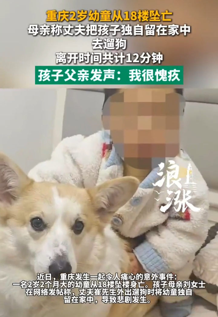 重庆一父亲出门遛狗，导致2岁幼童独自在家坠楼身亡的事件中，这位出门遛狗的父亲会受到什么惩罚？

1、目前警方给出的结论是属于意外事件，不予刑事立案。
目前警方没有查到这位父亲有杀人故意或是虐待孩子的情况，而且他出门遛狗的时间也比较短，只有12分钟，家里阳台栏杆的高度不是小孩子能轻易翻出去的，这次小孩