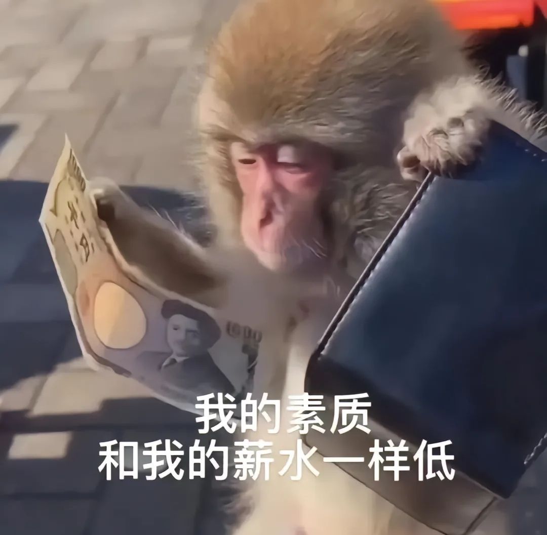 一期表情包！！