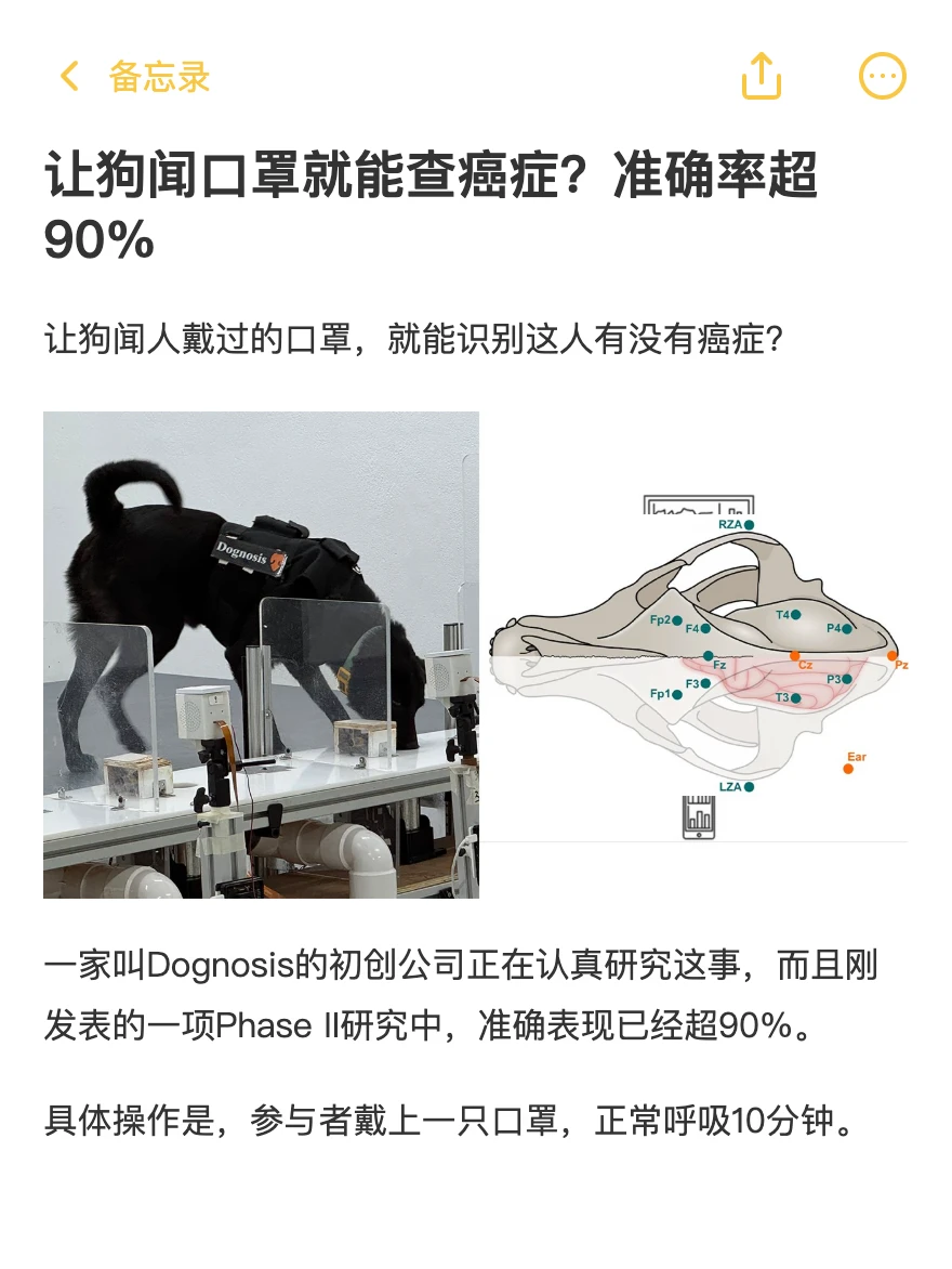 让狗闻口罩就能查癌症？准确率超90%