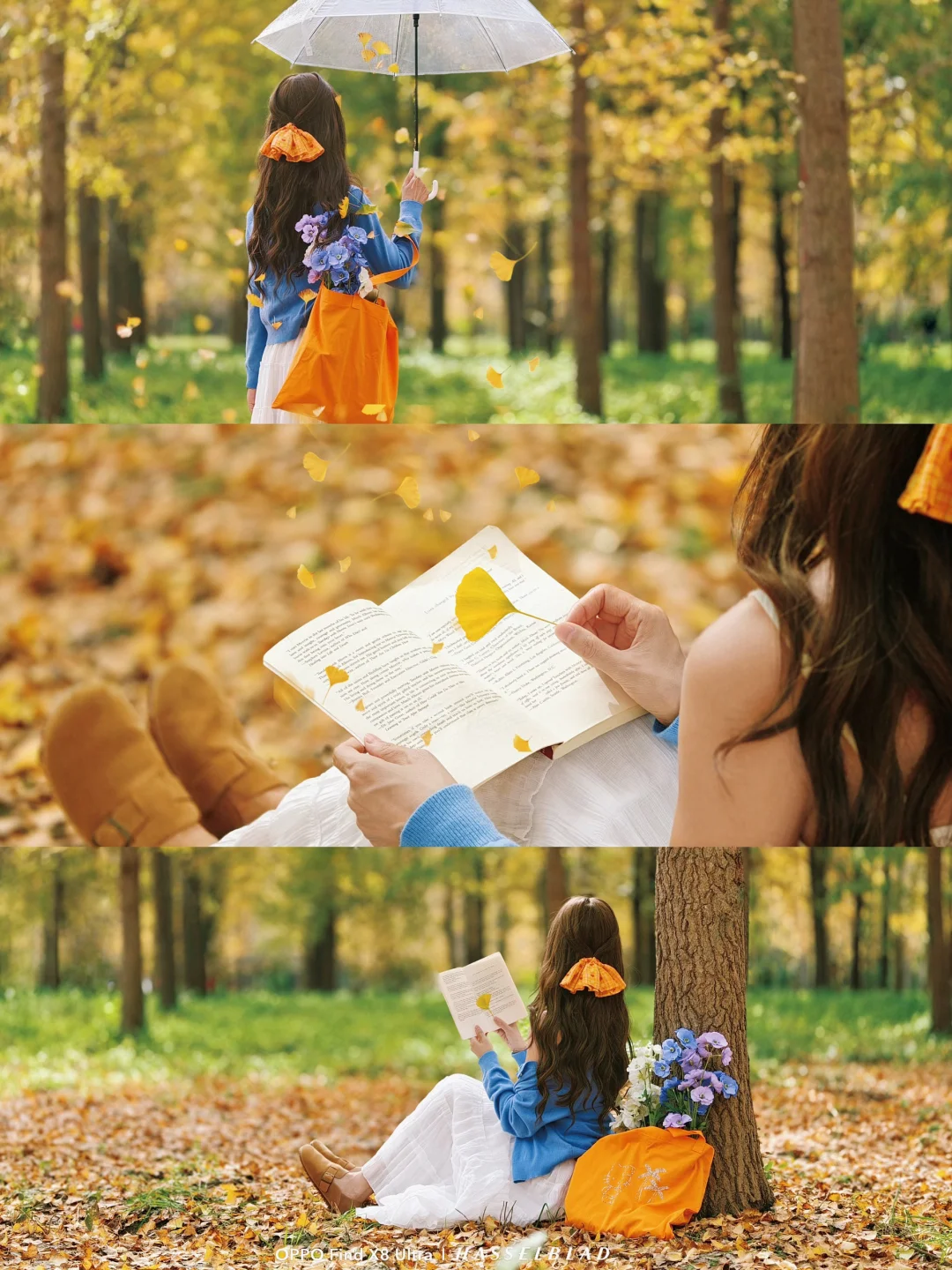 十一实拍|北京千亩银杏公园|这样拍出氛围感