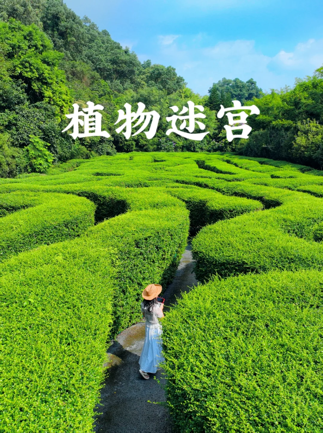 东莞CityWalk|广东被严重低估的花园城市