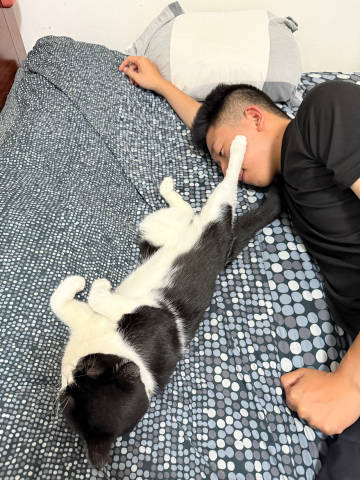 p6烧到40多度都快烧着了还能看镜头的人<br />p5十五分钟完成复...
