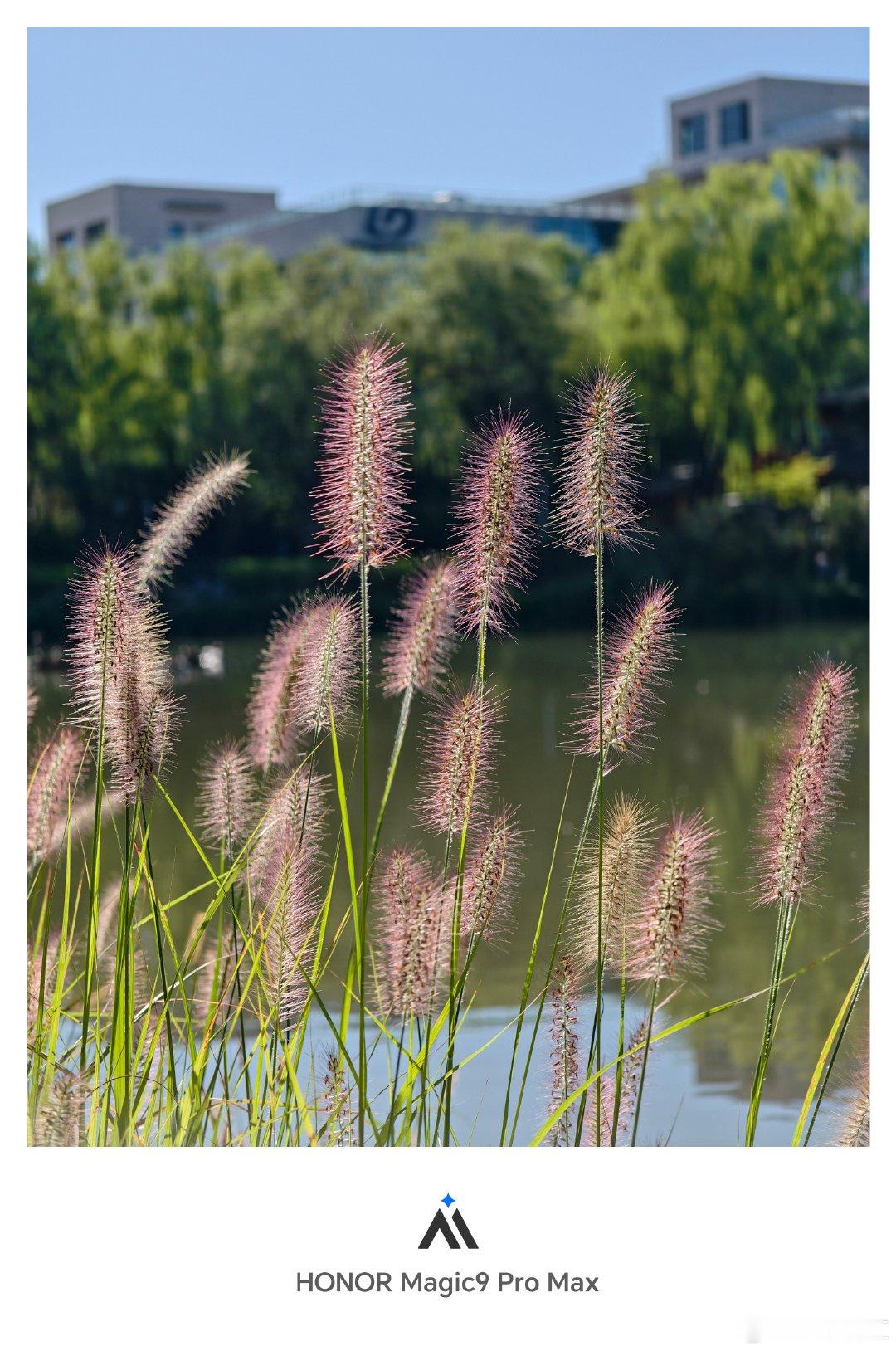 早ﾉ☀

北京已经有 #秋天# 的感觉了，风吹在脸上是清爽的凉意～

今天早上没有锻炼，在园区附近的公园溜达了一圈，感受一下 #北京# 一年里最棒的季节，秋天！🍂  

#荣耀[超话]##每天早起打卡##北京范儿##荣耀magic9#  ​