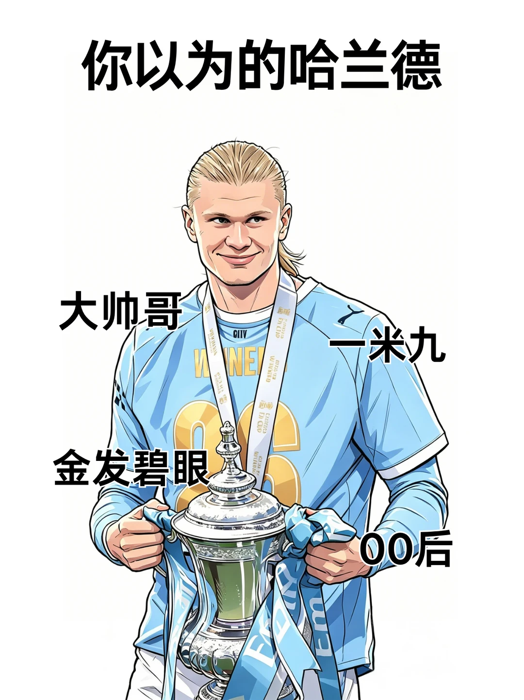 你以为的哈兰德vs实际上的哈兰德