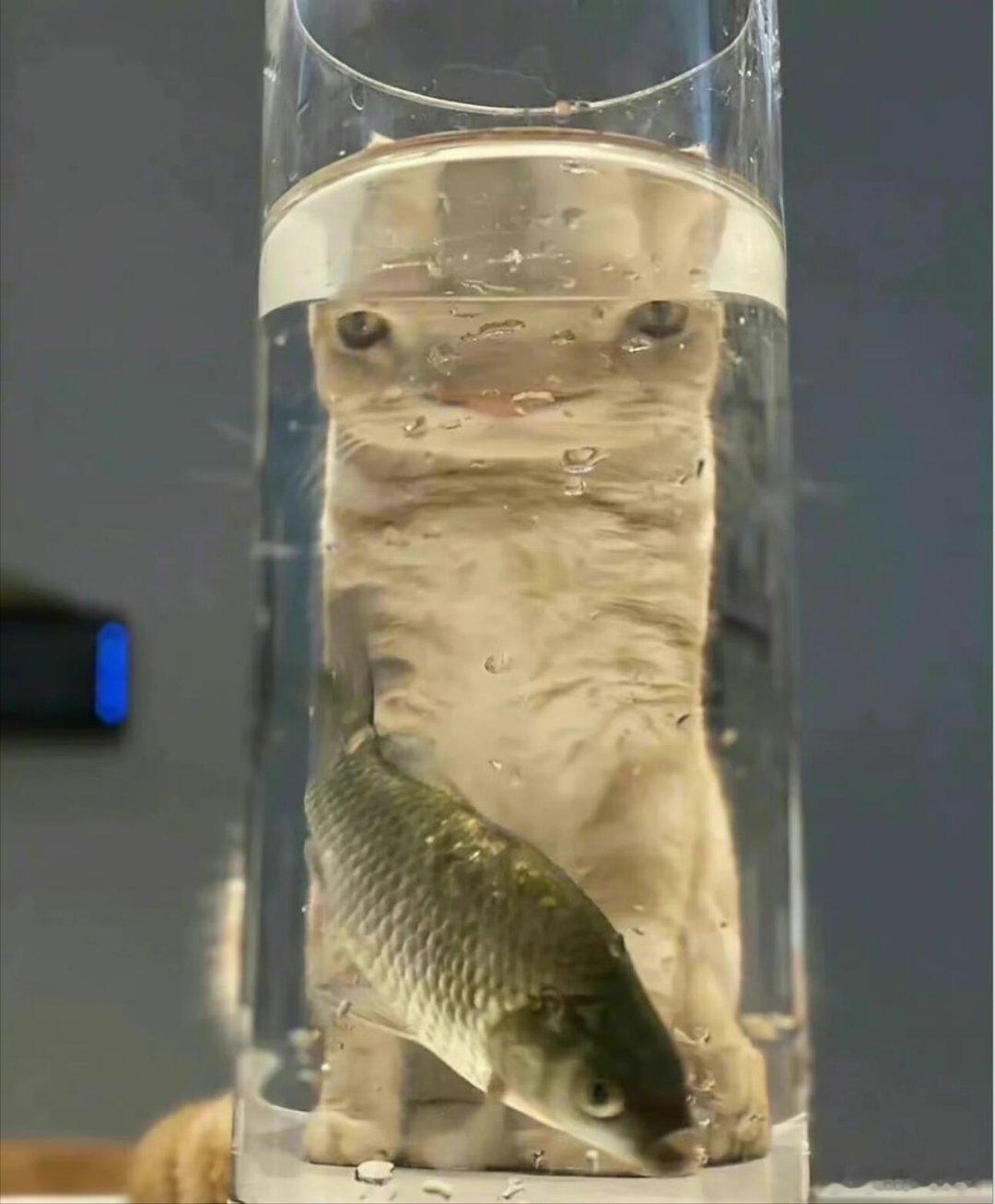 做心理声学有一个好处，好像可以摆弄最新的六边形战士功能超声成像。另外，技能还能迁移到脑电。#心理学[超话]##人工智能[超话]# ​