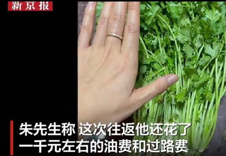 卖家驱车千里取回 8.59元的香菜，卖家驱车千里取回！你敢信？

9月28日，新京报报道了这么一件事：江苏徐州商家朱先生，遇到买家收到8.59元香菜后申请“仅退款不退货”。朱先生二话不说，驱车千余公里往返上海，硬是把这份香菜拿了回来。往返油费过路费近千元