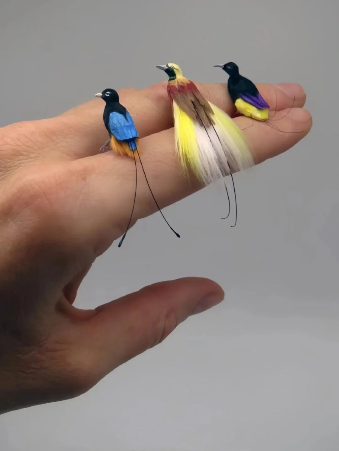 指尖上的小鸟｜来自匈牙利的全职宝妈