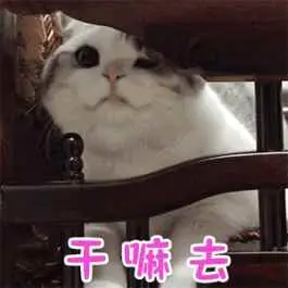 汪顺：希望把训练成果发挥出来去那么干吗？！