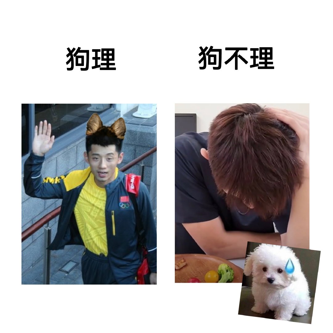 #张继科[超话]# 刷到一个梗图，们小可也要有[doge] ​