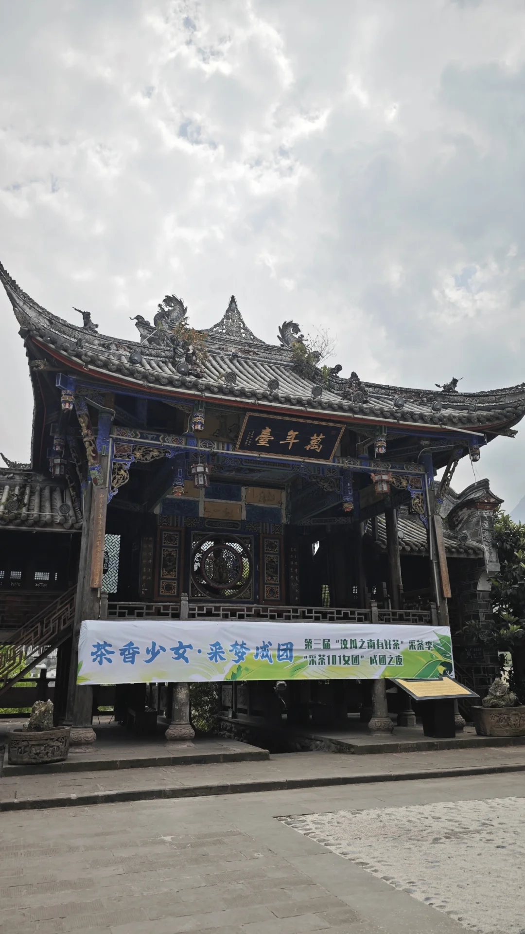 采茶女成团出道！😃