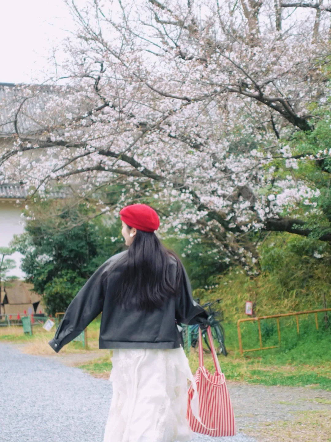 在大阪！快！去！拍！樱！花！