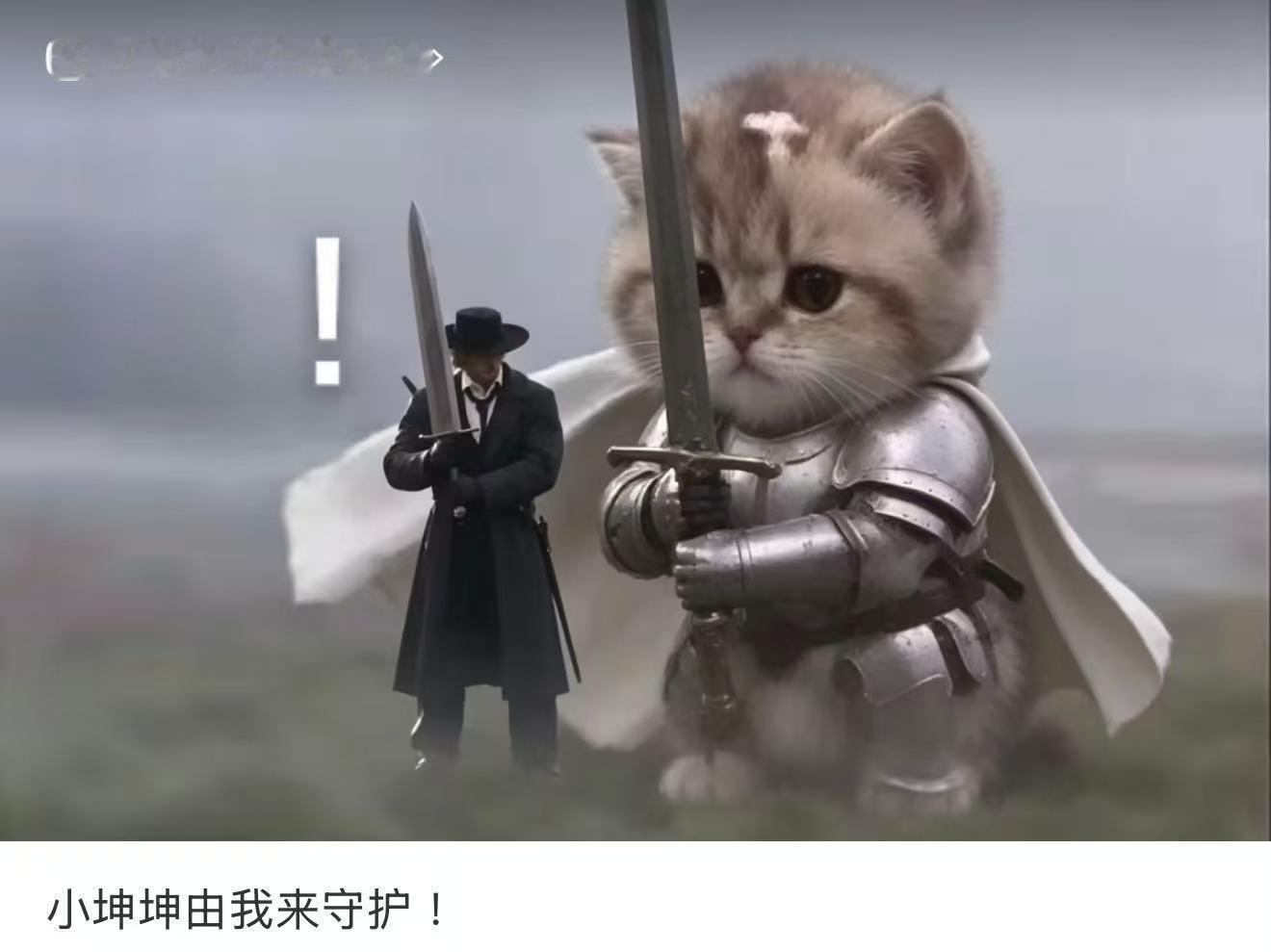 守护坤坤 ​