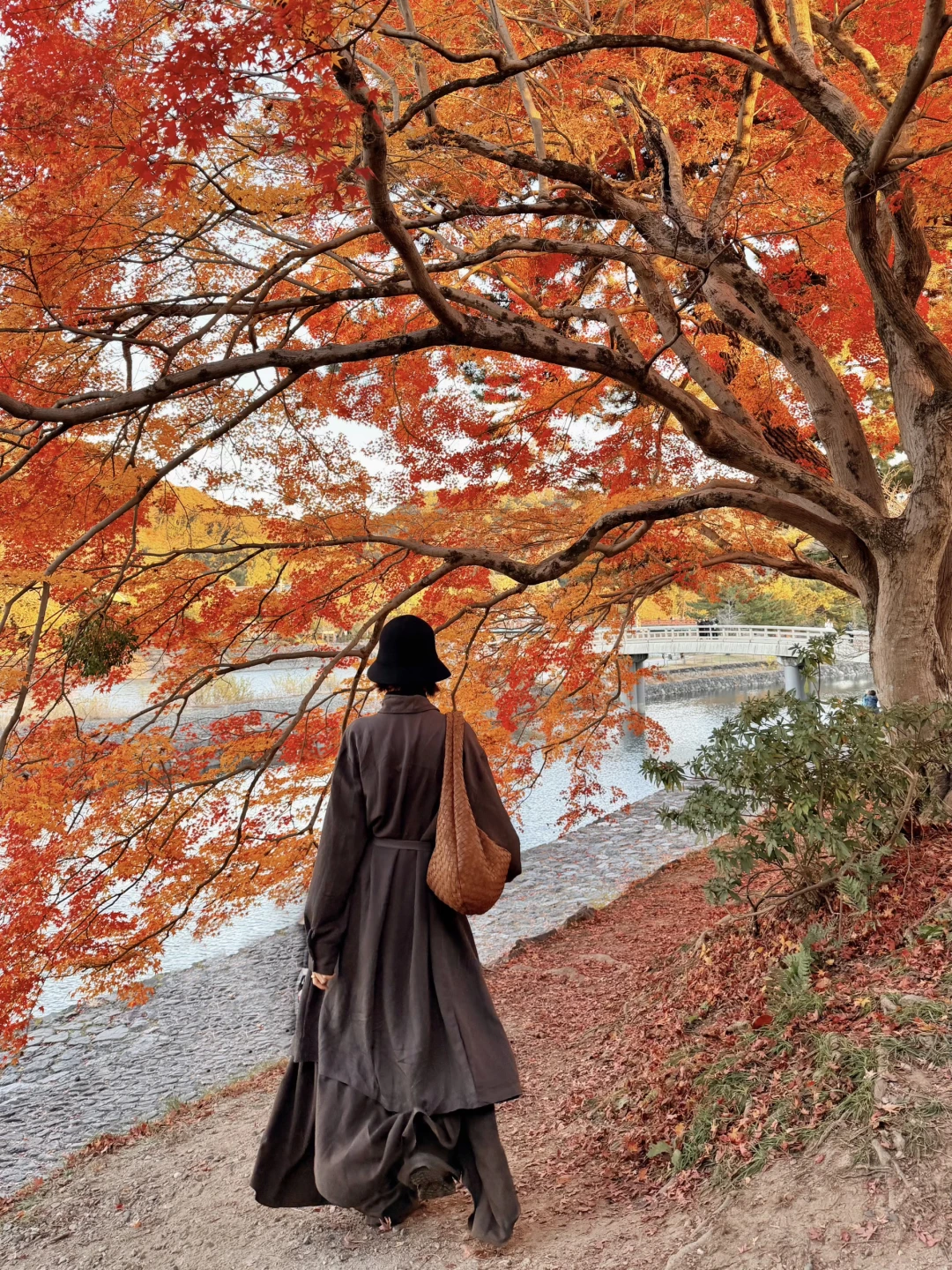 京都追枫人在宇治圆满