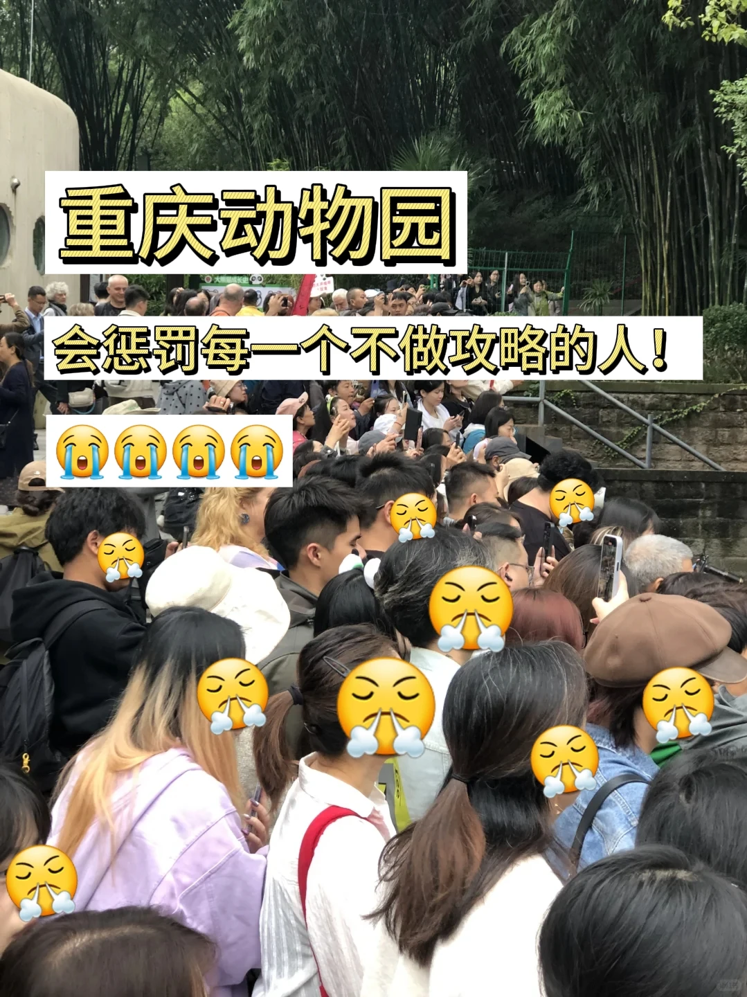 🔥重庆动物园游玩攻略，不看攻略＝白来