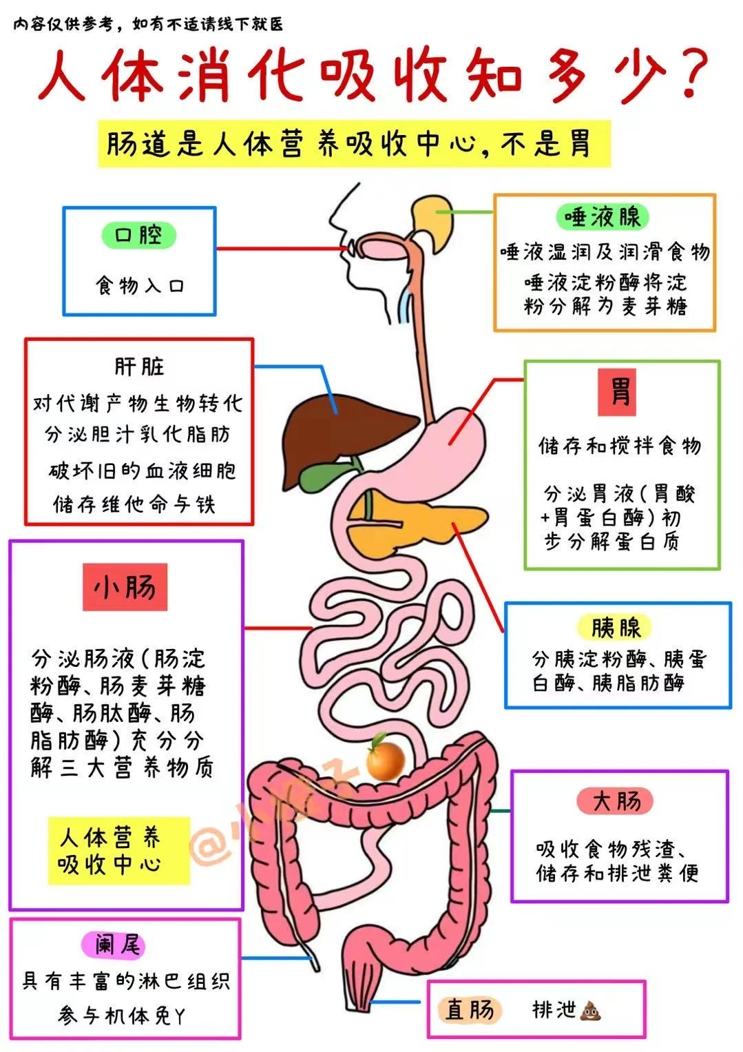 告别瞎喝水‼️科学喝水指南建议收藏✅