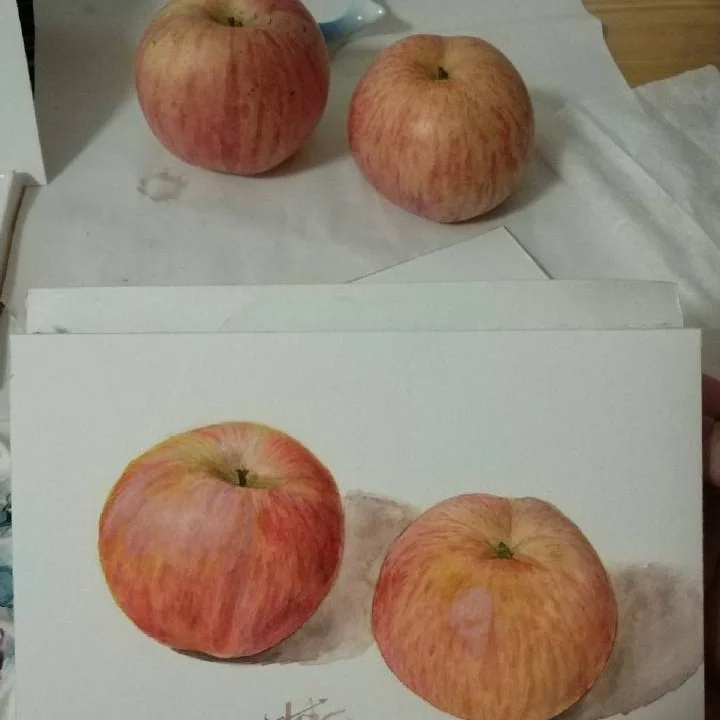 水彩苹果 宝虹+美捷乐