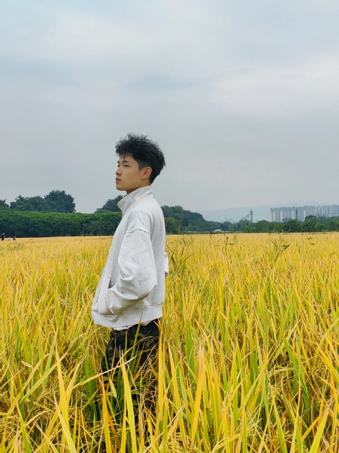 原来岭南也有秋天🍂稻田海+环岛漫游