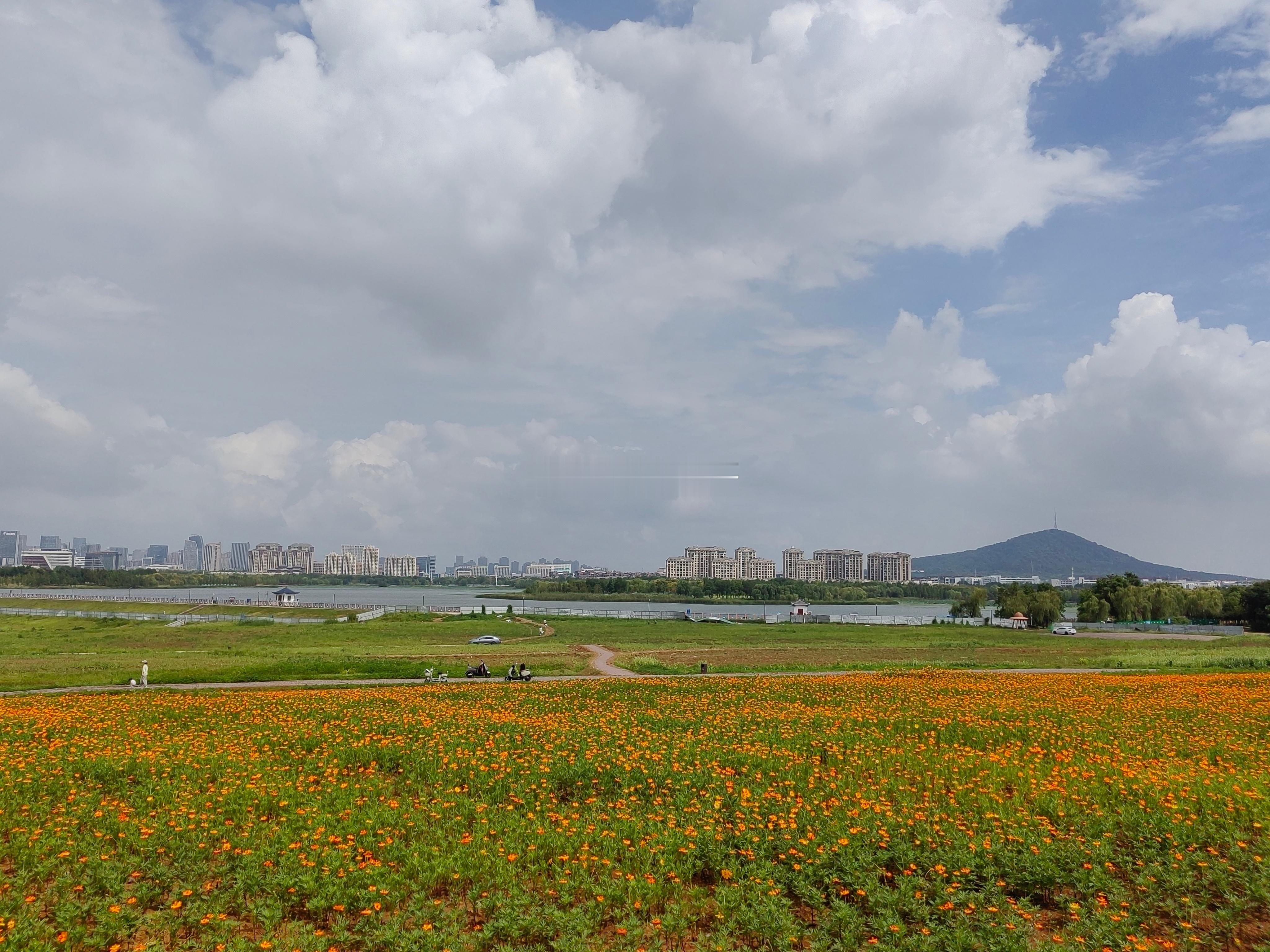 合肥北雁湖公园正在改造，北雁湖越来越好～ ​​​
